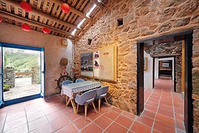 Pingtan Travel Notes Cat Head