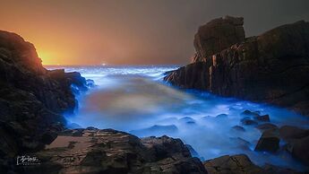 Pingtan Travel Notes Cat Head