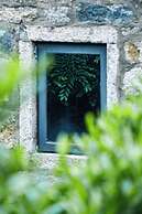 Pingtan Travel Notes Cat Head