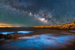 Pingtan Travel Notes Cat Head