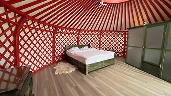 Secret of the Silk Road