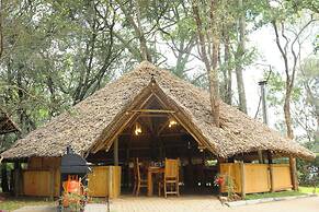 The Giraffe Cottage