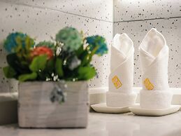 shuaifubosongfandian