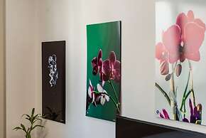 Modern Studio by the Beach - Orkidea