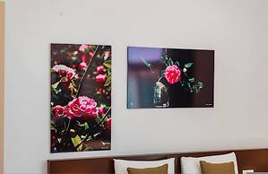 Studio With Amazing Balcony - Kamelia