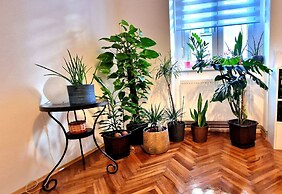 Charming 50m2 Apartment in Zagreb City Center