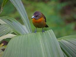 Rio Agujitas Eco Farm Hostel and Tours