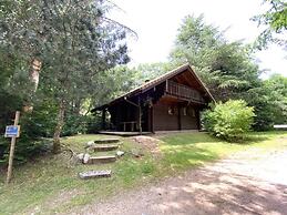 Chalet in La Bresse With Mountain Views