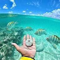 Pousada Bangalôs Do Pontal