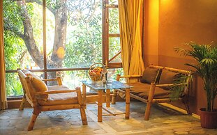 Jungle Adventure World Hotel Pvt. Ltd