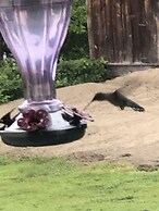 Inn on Great Sacandaga Lake