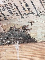 Inn on Great Sacandaga Lake