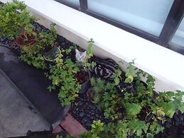 Shi San Du Fu Qing Nian Lv She