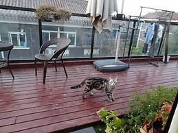 Shi San Du Fu Qing Nian Lv She