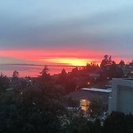 Sand and Salt Bed & Breakfast