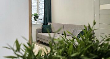 Studio Bajka - 365PAM