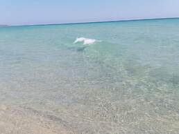 Villa La Dipladenia in Costa Rei