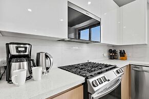 Safir 40