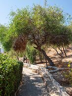 Elena s Traditional Dreamhouse