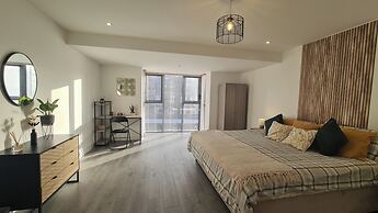 Modern City Apartment