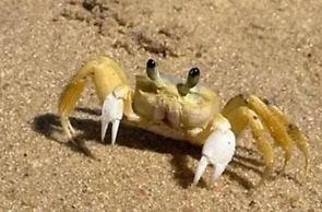 Guaruçá Pousada Apart Hotel