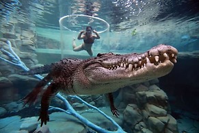 Benji Zen Retreat Unique Wavepool Adults Only