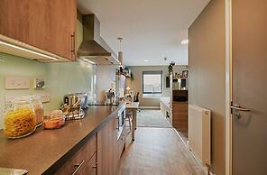 Student Only The Combworks