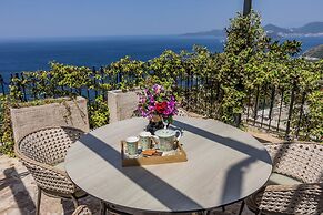 Olive Resort