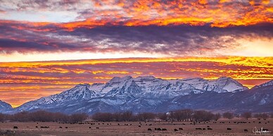 Villa 2057 2 Bed 2 Bath Full Kitchen 2 Bedroom Villa