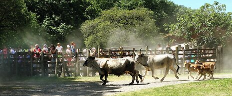 B&B Tenuta di Paganico - Wine & Food