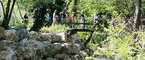 B&B Tenuta di Paganico - Wine & Food