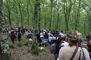 B&B Tenuta di Paganico - Wine & Food