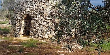 Masseria la Maestà Ospitalità rurale