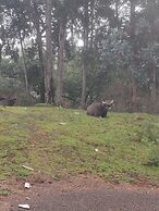 Bon Sejour Ooty Hill View Resort & Hotel