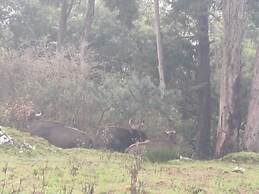 Bon Sejour Ooty Hill View Resort & Hotel