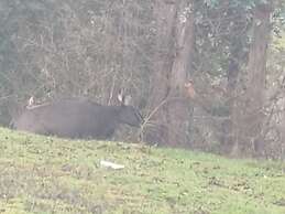 Bon Sejour Ooty Hill View Resort & Hotel