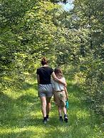 la maison dans les bois