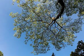 Greenwood Edge Kandy