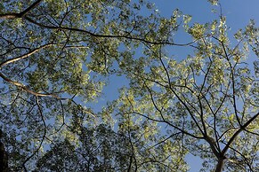 Greenwood Edge Kandy