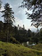 Proyecto Nirodha Orosi
