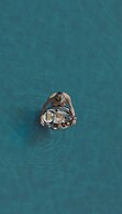 Maashpi Hotel & Resort