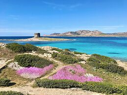 Residence in Stintino 50 mt from the sea