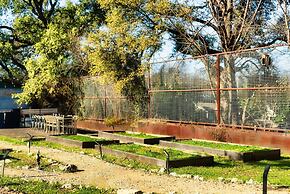 Cozy Tiny Home on Eco Farm and Huge Yard