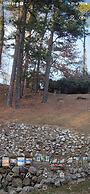 The Bear Den
