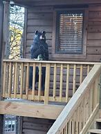 The Bear Den