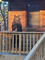 The Bear Den
