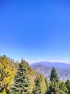The Alpine Vista