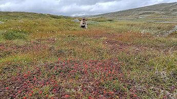 Fagerheim Fjellstugu