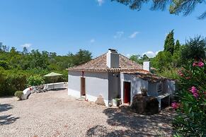 Pine Tree House in Azeit o