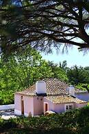 Pine Tree House in Azeit o